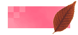 �{�^��