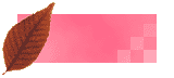 �{�^��